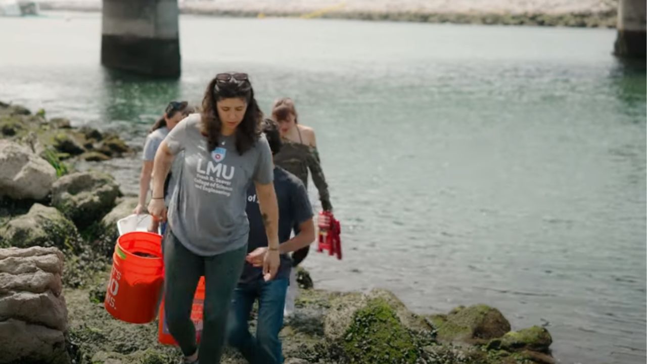 Climate Warming Effects on Marine Mussels Video Screenshot